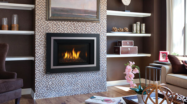Regency Horizon® HRI4E Medium Gas Insert