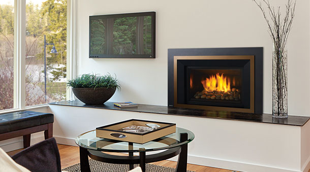 Regency Horizon® HRI6E Large Gas Insert