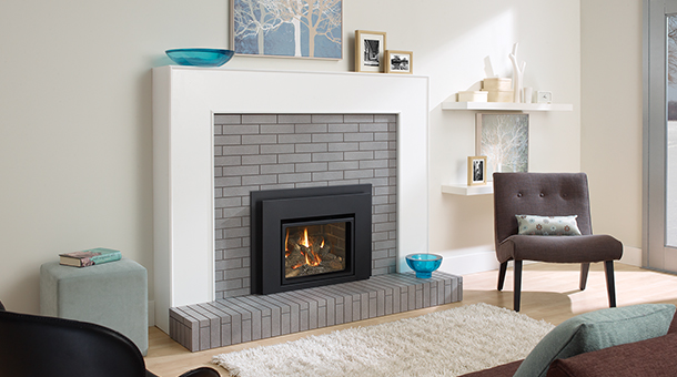 Regency Liberty® L234 Small Gas Insert
