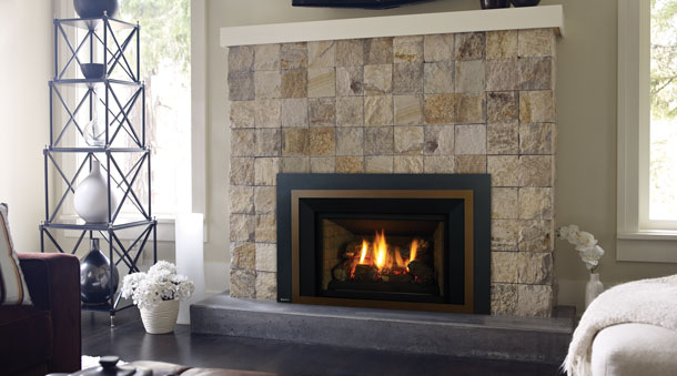 Regency Liberty® LRI4E Medium Gas Insert