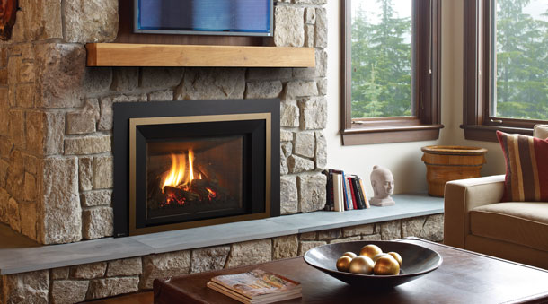 Regency Liberty® LRI6E Large Gas Insert