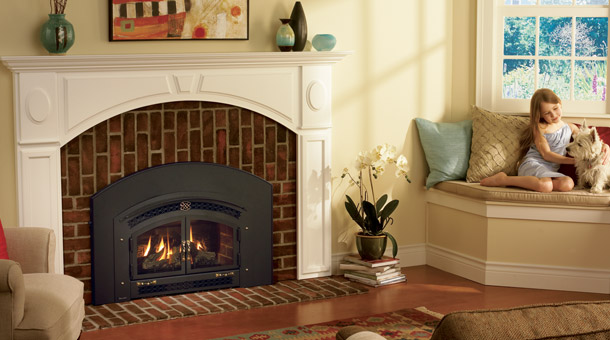 Regency Excalibur® EX-U31 Medium Gas Insert