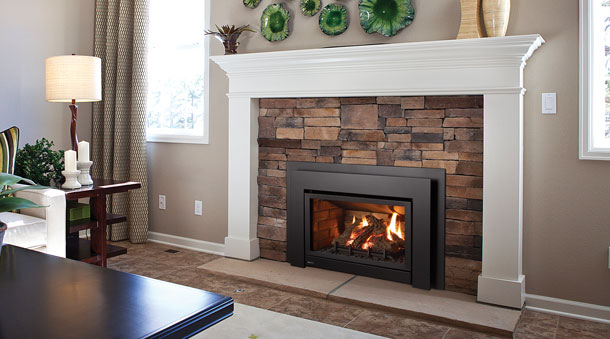 Regency Energy™ U31 Medium Gas Insert