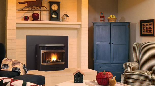 Regency Greenfire® GFI55 Medium Pellet Insert